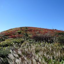 紅葉の池の段　その２