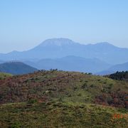 伯耆大山は目の前　道後山