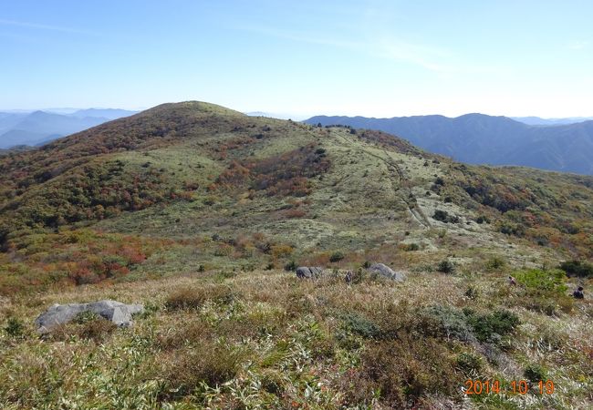 ササの草原、紅葉、花の山　道後山