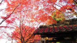 芭蕉を偲んで、芭蕉庵…