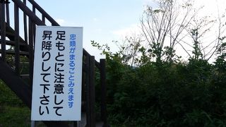 まるごと見えます