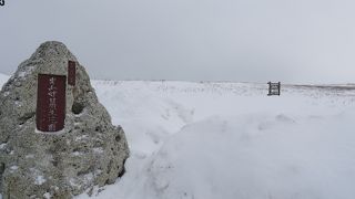 晴れていれば・・・