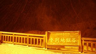 生きている台地