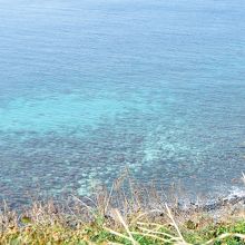 海の水はものすごくきれいでした