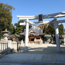 いい雰囲気です