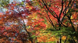 都心のオアシス的な公園