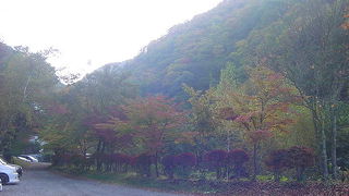 遊歩道が整備されています