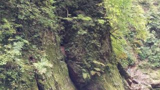 スニーカーでもいける