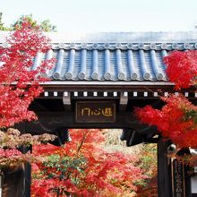 永観堂(禅林寺) 南門の紅葉