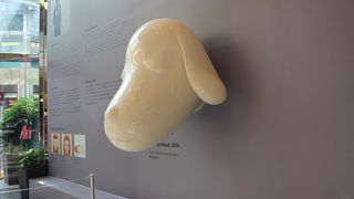 奈良美智さんの作品があった