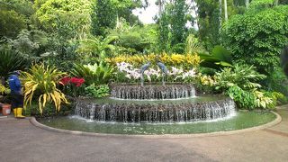 綺麗なところです