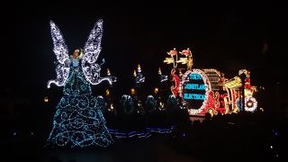 これを見ずしてディズニーランドの一日は終わらない