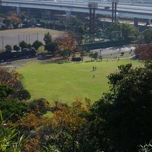 展望台から市民公園を望んだところ