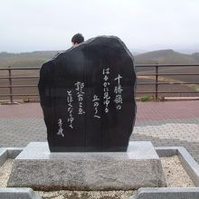 セブンスターの木で撮影