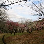 高松市内郊外にある広大な丘陵地帯にあります