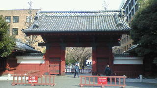 渋い赤みが迫力の「狭き門」