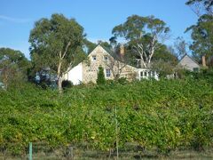 Craigie Knowe Cottage & Vineyard 写真