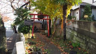 亀の子たわしが・・・・！！