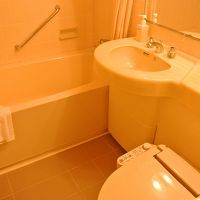 バスルーム。温泉があるので未使用