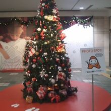 クリスマス時期には撮影スポットも設置されます