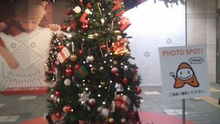 名前の由来に関して