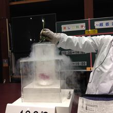 液化窒素の実験　花弁が粉々に