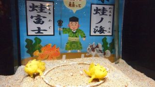 視点がおもしろい