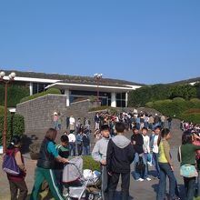 済州民族自然博物館で撮影