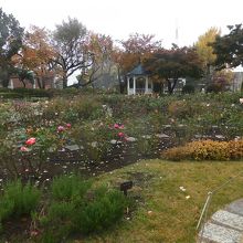 ローズガーデン