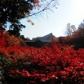 東福寺の「龍吟庵」