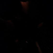 まったく見えない中の画像