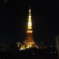 東京タワーがこんなに美しいなんて