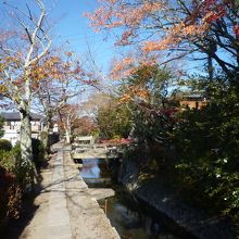 カフェやお土産屋も点在しています
