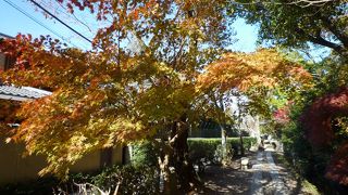 行くなら午前がおすすめ