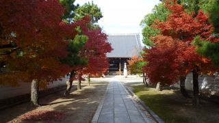 京都御所と宝鏡寺の中間