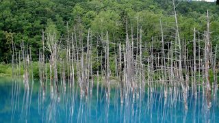 本当に青い。なかなかない景色。