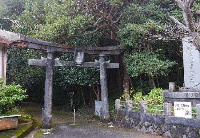 独特の岩壁と海岸線の絶景が見事