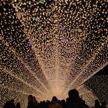 とてもきれいでした。