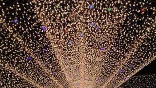 きれいですが混雑しています