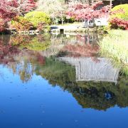 放生池越しの本堂の景観が素晴らしい！