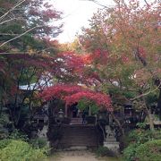 西行ゆかりの寺。西行桜が有名