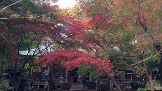 西行ゆかりの寺。西行桜が有名