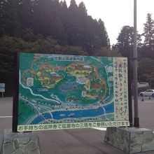 山一帯に広がります