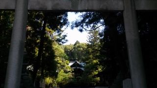 うさぎがかわいい♪