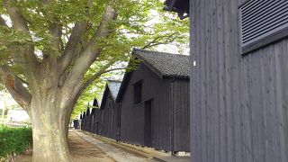 庄内のシンボル