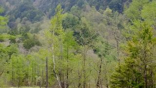 河童橋までの途中に