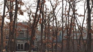 建築が素晴らしい美術館