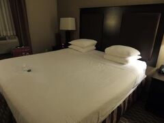 ベストウェスタン プラス プラザ ホテル 写真