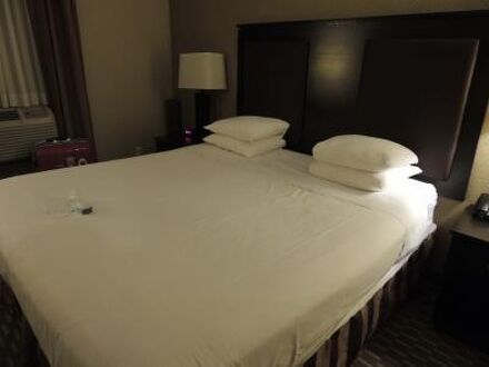 ベストウェスタン プラス プラザ ホテル 写真