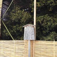 右近の橘です 右近橘 うこんのたちばな は 平安京の内裏にある紫宸殿正面の階段から見て右にあった橘の樹 左近桜に相対したものです By Kazukota 平安神宮のクチコミ フォートラベル 右近の橘です 右近橘 うこんのたちばな は 平安京の内裏にある紫宸殿正面の階段から見て右にあった橘の樹 左近桜に相対したものです By Kazukota 平安神宮のクチコミ フォートラベル